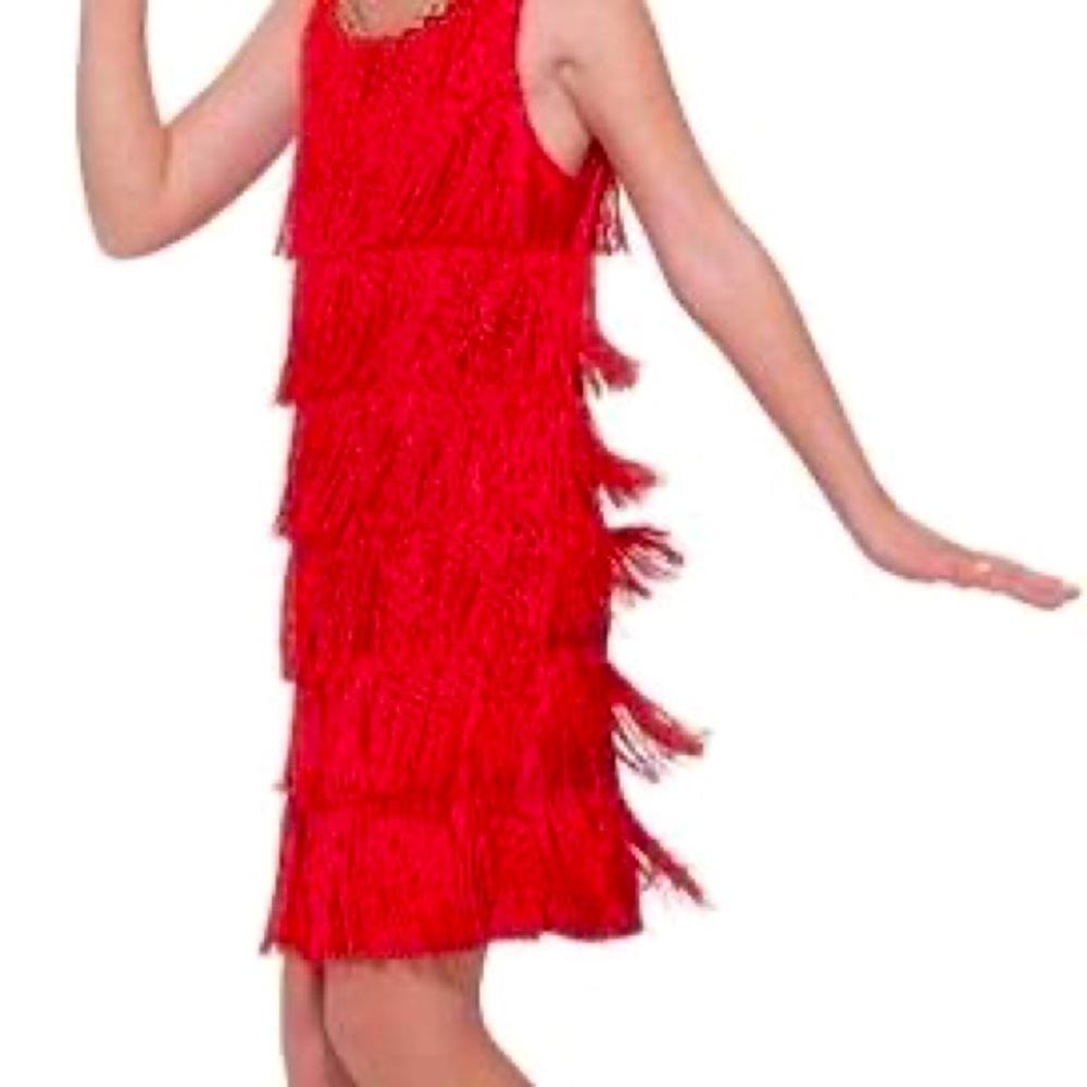 Halloween Party Dress Flapper Roaring 20’s Costume Party Red Fringe Style Sz S
